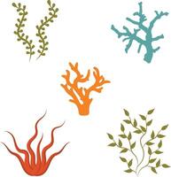 Coral Reef Underwater Illustration. Exotic Tropical Undersea Plant. Flat Vector Illustration