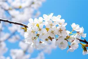 ai generado hermosa blanco Cereza flores en primavera parque. foto