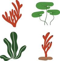 Coral Reef Underwater Element. Isolated on a White Background. Vector Illustration