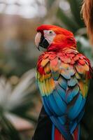 AI generated Vibrant Feathers Parrot Perched photo
