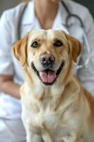 AI generated Happy Veterinary Clinic Vibes photo