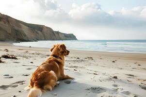 AI generated A dog exploring a pet-friendly beach during a vacation photo
