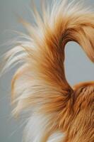 AI generated Tails of Joy CloseUp Wagging Tail Delight photo