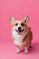 AI generated Dog Standing in Pastel Pink Setting photo