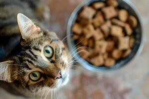 ai generado curioso bigotes de gato encantador tratar exploración foto