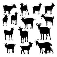 Goats isolated on white, hand drawn vector illustration. Adobe Illustrator Artwork