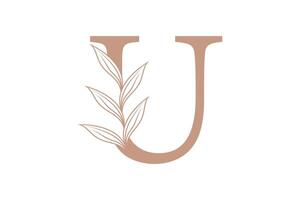 botanical element design with combination letter concept design vector