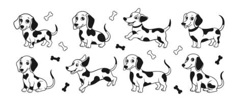 Set of various cute cartoon dachshund dogs. Dalmatian dogs on a white background. Vector illustration