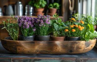 AI generated Different types of herbs in pots on the table photo