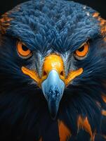 AI generated The head of eagle with beak and orange eyes photo