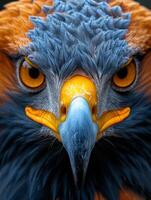 AI generated Eagle looking at the camera. A macro portrait of an eagle photo