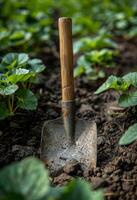 AI generated Shovel is stuck in the soil in garden photo