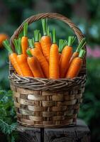 AI generated Fresh organic carrots in basket photo