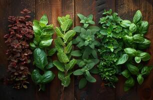 AI generated Different fresh herbs on wooden background photo