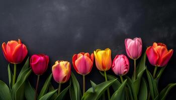 AI generated Colorful fresh tulips on black background photo