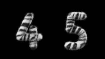 3D animation Zebra woolen numbers 4 and 5 video