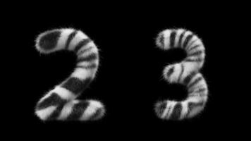 3D animation Zebra woolen numbers 2 and 3 video