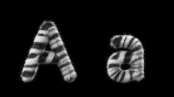 3d animazione di un' maiuscolo e minuscolo zebra di lana lettera un' video