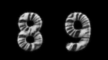 3D animation Zebra woolen numbers 8 and 9 video