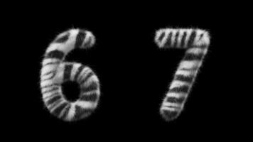 3D animation Zebra woolen numbers 6 and 7 video