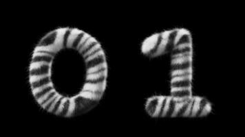 3d animering zebra ull- tal 0 och 1 video