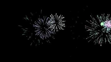 fogos de artifício colorida animação vídeo. fogo de artifício celebração colorida em Preto tela. 4k resolução video