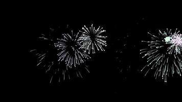 fogos de artifício colorida animação vídeo. fogo de artifício celebração colorida em Preto tela. 4k resolução video