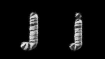 3D animation of a uppercase and lowercase Zebra woolen letter J video