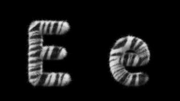 3D animation of a uppercase and lowercase Zebra woolen letter E video