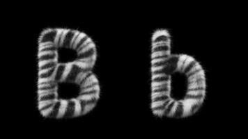 3d animatie van een hoofdletters en kleine letters zebra wollen brief b video