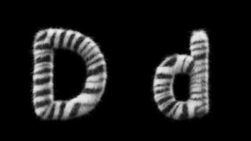 3D animation of a uppercase and lowercase Zebra woolen letter D video