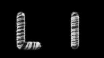 3d animazione di un' maiuscolo e minuscolo zebra di lana lettera l video