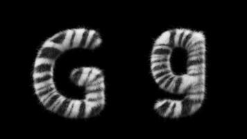 3d animatie van een hoofdletters en kleine letters zebra wollen brief g video