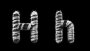 3D animation of a uppercase and lowercase Zebra woolen letter H video