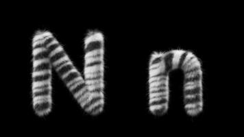 3D animation of a uppercase and lowercase Zebra woolen letter N video