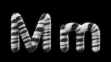 3D animation of a uppercase and lowercase Zebra woolen letter M video