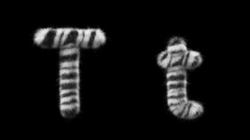 3D animation of a uppercase and lowercase Zebra woolen letter T video