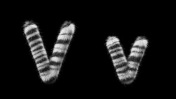 3D animation of a uppercase and lowercase Zebra woolen letter V video