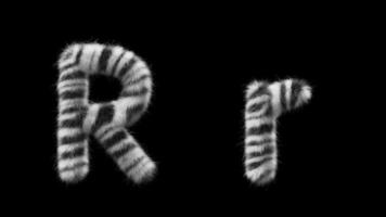 3D animation of a uppercase and lowercase Zebra woolen letter R video