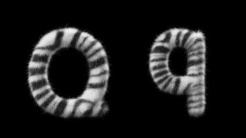 3D animation of a uppercase and lowercase Zebra woolen letter Q video