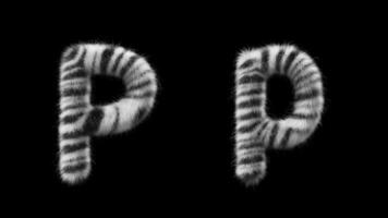 3d animatie van een hoofdletters en kleine letters zebra wollen brief p video