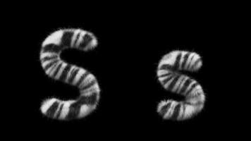 3D animation of a uppercase and lowercase Zebra woolen letter S video