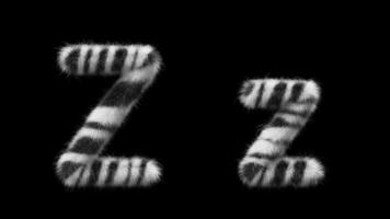 3d animation de une majuscule et minuscule zèbre de laine lettre z video