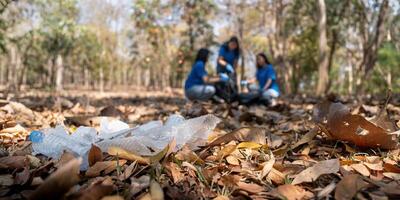 basura recoger voluntario equipo recoger arriba el plastico botellas poner basura en basura pantalones a limpiar arriba a parques evitar contaminación ser simpático a el ambiente y ecosistema foto