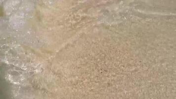 de praia branco areia turquesa água ondas estrelas do mar isla contorcido México. video