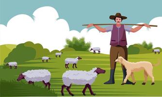 Shepherd with stick and dogs herding sheep vector