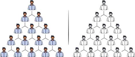 organisation hierarchy structure vector