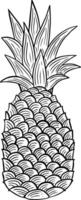 Pineapple Fruit hand drawn engraved sketch drawing vector