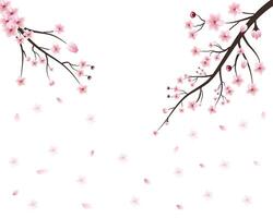 Vector japan sakura cherry branch with blooming flowers. design constructor with blooming cherry branch. Branch with beautiful sakura flowers and falling petals realistic composition illustration.