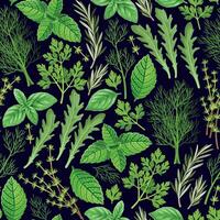 Vector seamless pattern with culinary spicy herbs